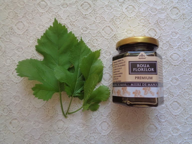 Miere din cetatea albinelor