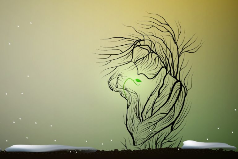 Suplimentul de suflet prin cuvinte declarate