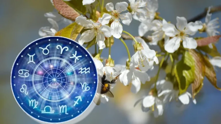 Horoscop 20 martie 2025, previziuni pentru orice zodie